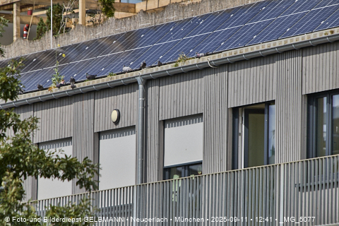 Achitektur_im_Plettzentrum_die Holzverkleidung_an_der_Fassade__MG_5077.jpg